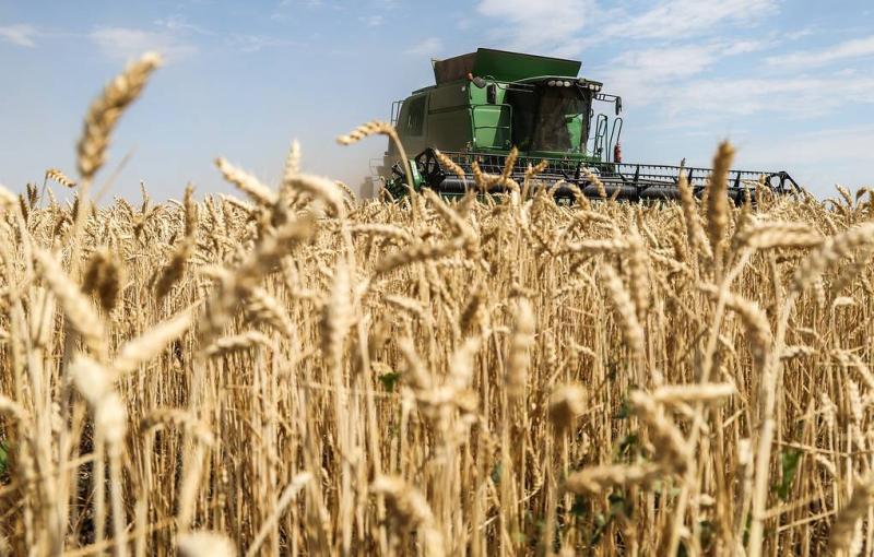 Kremlin expects all parties to comply with grain export agreements