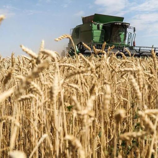 Kremlin expects all parties to comply with grain export agreements