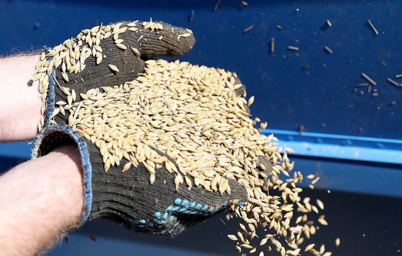 US not to agree to Ukraine grain deal that might bring Russia sanctions relief