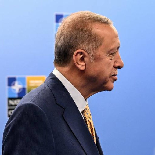 Press review: Erdogan whirls like dervish on Swede NATO bid and Gulf Arabs plug for peace