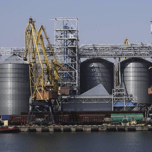 Press review: Kiev’s post-grain deal options and Russia-Africa Summit to focus on politics