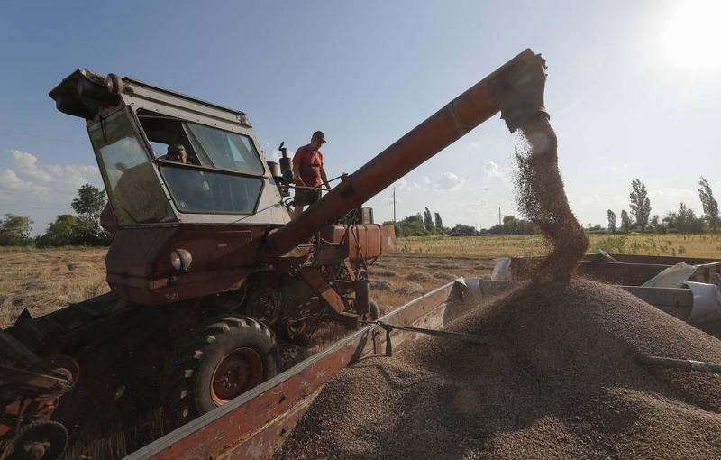 Russia’s withdrawal from grain deal to have economic consequences for Egypt