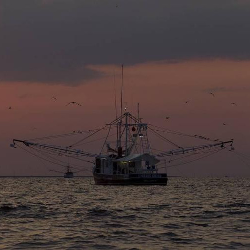 Russian fishing vessel catches fire off South Korea, four missing