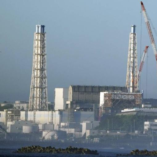 Fukushima water not dangerous, but international monitoring necessary