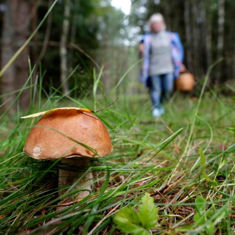 В Геленджике зафиксировано более 10 случаев...