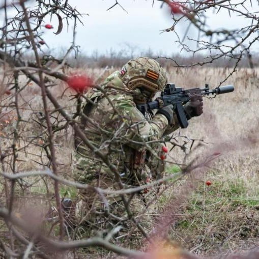 Российские ВС освободили Дарьино и Плехово...