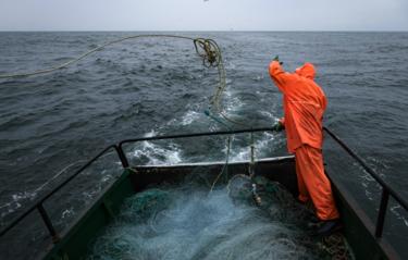 Россия ограничит сотрудничество с Японией по морскому промыслу в зоне Курил