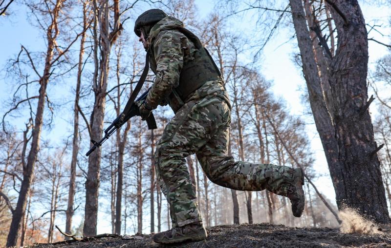 Российские ВС освободили Зеленовку и Новый Комар в ДНР