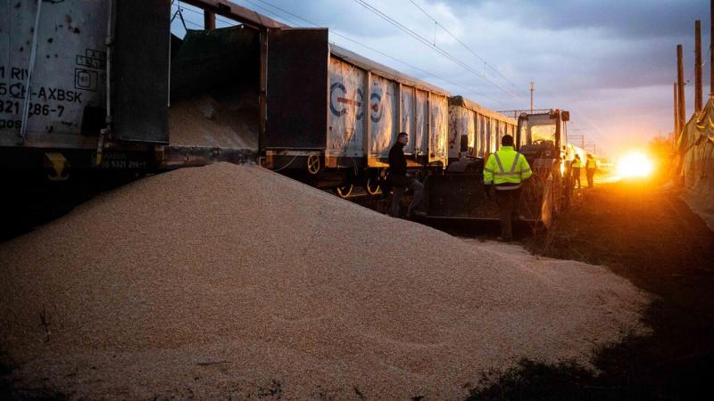 Russia is winning global grain war — Politico