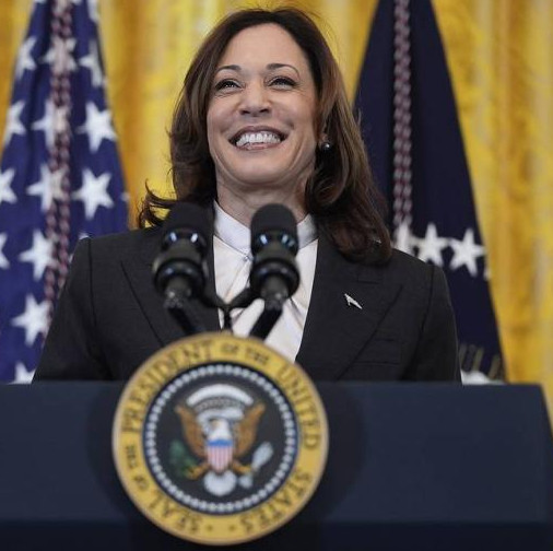 Kamala Harris and her upcoming 100-day-reign...