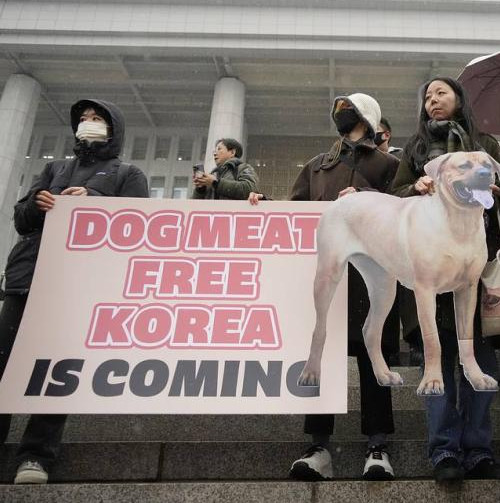 South Korean parliament passes bill to prohibit consumption of dog meat